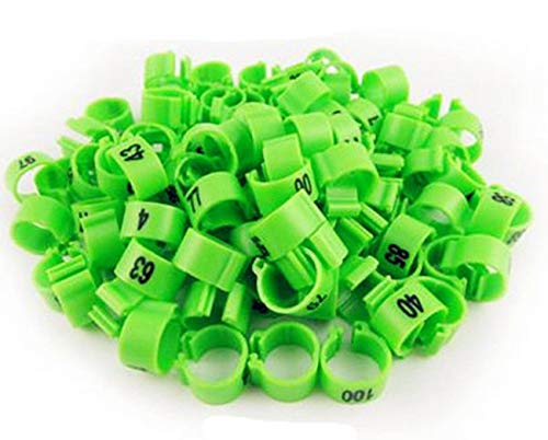 100pcs/lot Color Numbered Birds Duck Chicken Leg Bands 12mm Chicken Rings - color: green