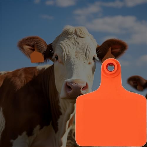 Cattle Ear Tags Blank, 7/10" 8/5" 12/5" Width Livestock ID Ear Tags, 100 Pcs Plastic Animal Tagging for Herd Tracking & Monitoring, Flexible(L W 2in x 7/10in) - size: L W 2in x 7/10in