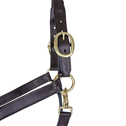 Schneiders Premier Leather and Rope Control Halter for Horses | Superior Horse Control | Enhanced with Rope Pressure Points | Double Ply Leather | Ideal for Young and Hot Horses - size: Cob