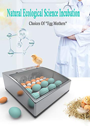 Egg Incubator with Automatic Egg Turning and Humidity Control, Incubator Small, Poultry Hatcher with Digital Display for Chickens Ducks Goose Others, Built-in Egg Candler - color: 36 Eggs Single Power Supply
