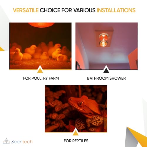 Seentech 250 Watt R40 Clear Heat Lamp Bulb – Infrared Flood Reflector Light, Incandescent Spotlight for Food Warmer, Brooder, Chicken Coop, Pet Heating, Bathroom, Light Therapy – E26 Base (1, Red) - color: Red
