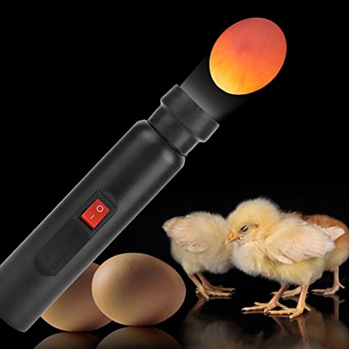 Egg Candler Tester with Cool LED Light for Monitoring Chicken Bird Egg Incubation Development, 100-240V
