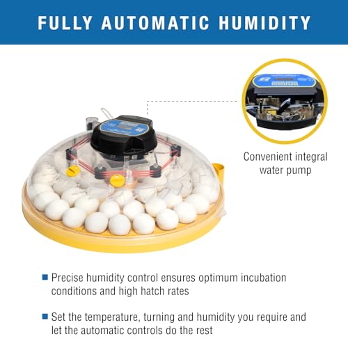 Brinsea Maxi 48 EX Egg Incubator with Automatic Humidity Control and Egg Turning for Hatching 48 Chicken, Duck, or Other Eggs, Optimal Flexibility with Mix & Match Sizes