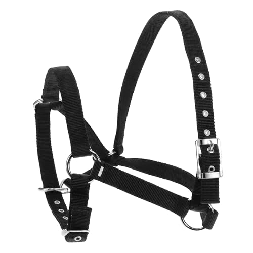 Kisangel Comfortable Padded Horse Halter and Rope for Equestrian Training Adjustable and Breakaway Equestrian Training