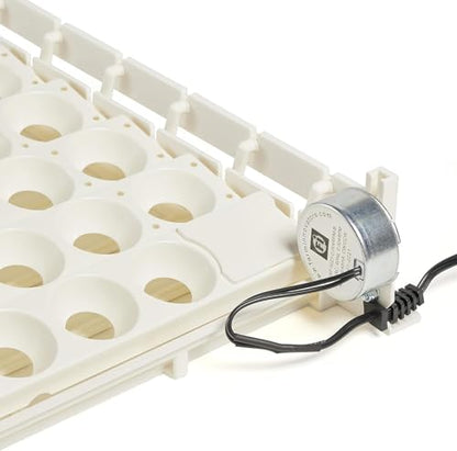 Farm Innovators 3200 Automatic 41 Spot Egg Turner for The Bottom of Incubators to Eliminate Manual Handling and Improve Hatching Rate, White (4 Pack) - size: 4 Pack