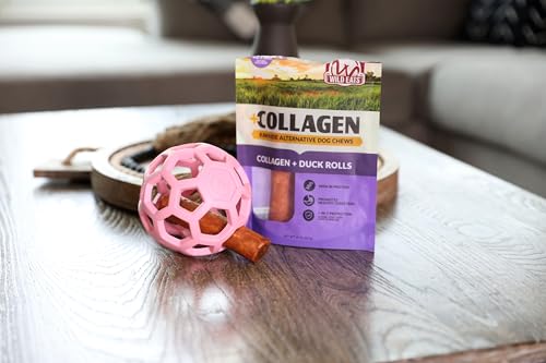 JW Pet HOL-ee Roller™, Dog Toy Puzzle Ball, Natural Rubber, Medium (4.5” Inch Diameter), Pink - color: Pink, size: 4.5 Inch
