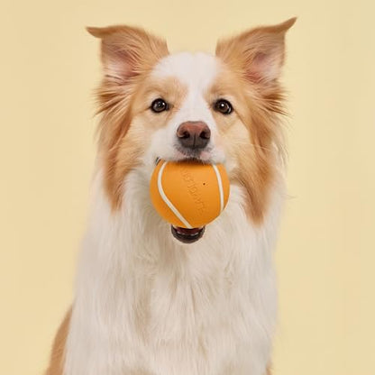 Playology Dog Toys | Squeaky Chew Ball for Large Dogs | Cheddar Cheese Scented Jumbo Dog Ball | Bouncy Floating Chew Toys for Fetch - size: Jumbo, style: Cheddar Cheese