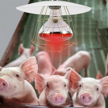 TOYANDONA Heat Lamp Guard for Chicken Coop Metal Lampshade for Livestock Heating Easy Installation Suitable for Pigs Sheep Cattle Enhanced Heat Dissipation Cover