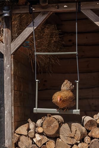 Little Giant® Chicken Swing - Poultry Enrichment Toy for Coop Exercise & Boredom Relief - Stimulating Balance Trainer for Hens & Roosters - Made from Durable Recycled Plastic