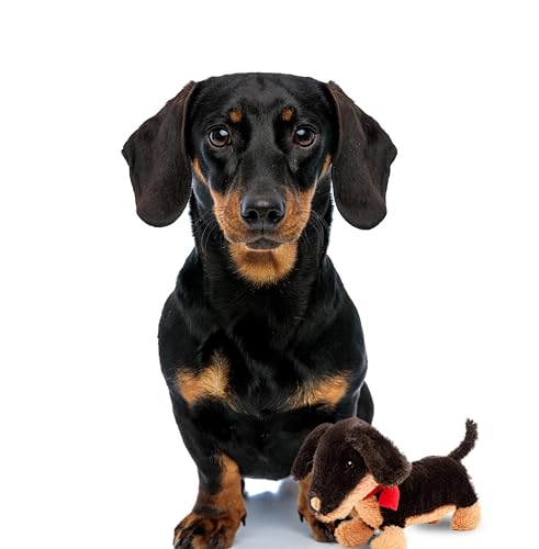 Fuzzl Eco Leather Natural and Tough Dog Toys - Long Lasting Chew Toys for Aggressive Chewers - Strong Dog Toy for Dogs and Puppy - style: Plush Sizzles