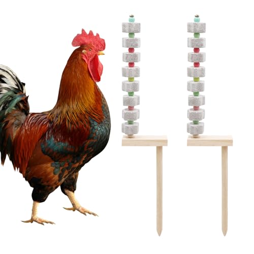 2 Pack Chicken Toys - Chicken Coop Accessories with Calcium Stone & Wood Stake - Enrichment Toys for Hens, Ducks, Geese, Turkeys, Poultry