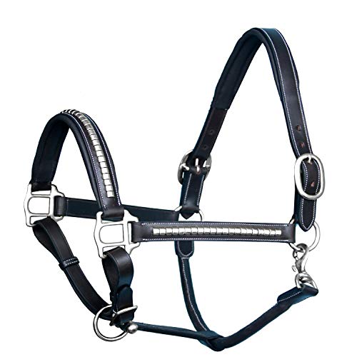 Exion Luxury Leather Horse Halter with Clincher Studs– Comfort Padded Anatomical Crown & Noseband– Quick-Release Snap Throat Latch– Vegetable Tanned Leather in Black/Brown - color: Havana, size: Horse (Full Size)