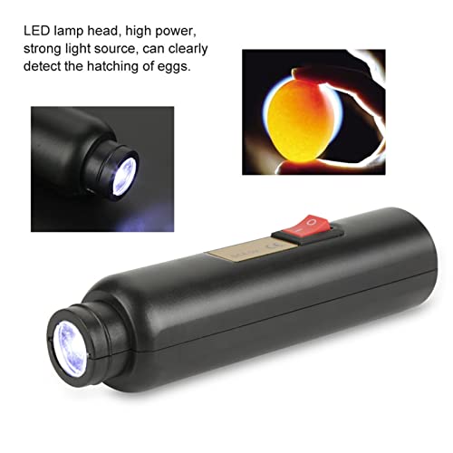 Rechargeable Egg Candler with Bright Cool LED Light for Monitoring Egg Development, Egg Tester with 2 Egg Chucks for Experiment