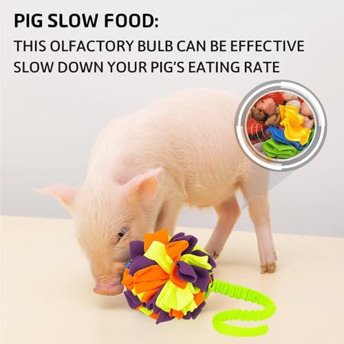 Snuffle Ball with Handle for Pigs– Pig Enrichment Toys for Mini Pigs, Potbellied Pigs & Farm Use – Interactive Foraging & Rooting Toy, Slow Feeding Pig Toys Accessories