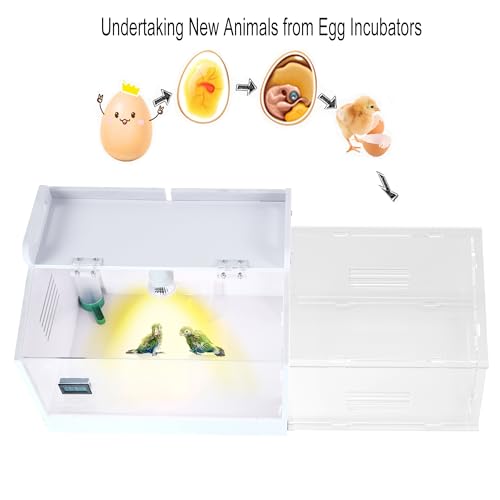 Iarge-Scale Chick brooder Box Quail Cage Egg Incubator Chick Starter Kit Chicken Brooder 20-35