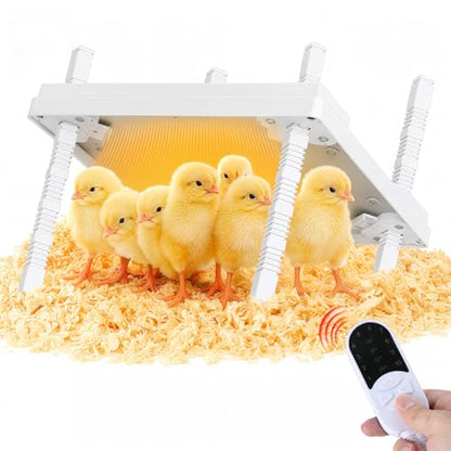 12"x12" Chick Heat Plate | Adjustable Height Angle | Remote Precise Temp Control | 30W Low-Energy Heater | Stable Anti-Tip Frame | Suitable for Up to 20 Chicks & Indoor Brooding