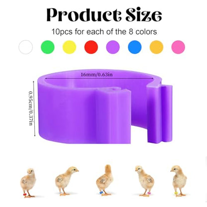 80 PCS Chicken Leg Bands, 1-80 Numbered Poultry Leg Bands 16mm Plastic Chicken Identification Rings, 8 Colors Coded Legs Band for Farmers Chickens Quail Chick Duck Bird