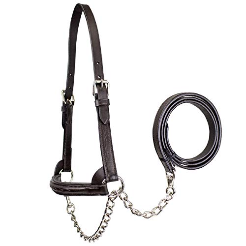 Derby Originals Premium Raised Padded Fancy Stitch Leather Cattle Show Halter with Matching Chain Lead - color: Havana, size: Small (350-700lbs)