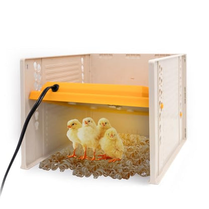 Brooder Heater for Chicks - Chick Brooder Plate with Adjustable Temperature Height Adjustable Chick Warmer for 11 Chicks Heater