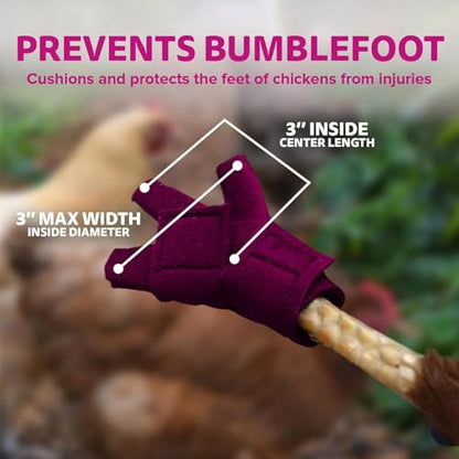 Chicken Shoes for Injured Feet – Protective Neoprene Footwear for Chicken, Open-Toe Design for Bumblefoot Relief, Made in USA (Chicken Shoes, Pink, Medium Chickens) - color: Pink