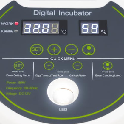Bird Egg Incubator 33 Eggs, Poultry Quail Incubator, Automatic Temperature Control with Digital LED Display, Small Quail Brooder, for Parrot, Canary, Small Poultry & Bird Hatching - size: 33 Bird Eggs