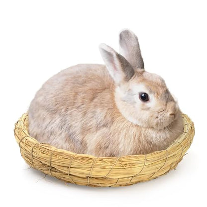 Eorbow 6 Packs Woven Straw Bird Nests, 8" Handmade Flat Base Spawning Nest, Small Animal Breeding Bed Hatch House Cage Accessories for Dove Pigeon Parrot Cuckoo Sparrow Rabbits Chinchillas Hamster