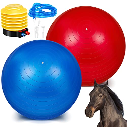 Sotiff 2 Pcs 40 Inch Horse Ball for Play Large Horse Big Equine Herding Anti Burst Dog Ball Soccer Giant, Pump Included(40 Inch,Blue and Red) - color: Blue and Red