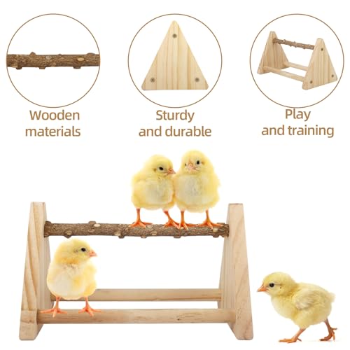2-in-1 Chick Perch & Ramp Trainer Set, Wooden Chicken Roost Bar & Stand for Brooder Coop, Baby Chicken Supplies Toys for Chicks Ducks Quails and Small Animals