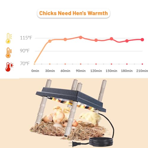 Chick Brooder Heating Plate, 10" x 10" Chick Incubator Heating Lamp, Adjustable Angle and Height Chick Brooder, Safe Incubators With Easy Clean Plate for Chicks/Ducks Thermostat for 15 Chicks (Black)