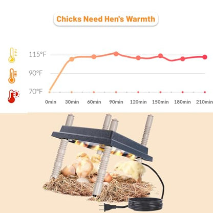 Chick Brooder Heating Plate, 10" x 10" Chick Incubator Heating Lamp, Adjustable Angle and Height Chick Brooder, Safe Incubators With Easy Clean Plate for Chicks/Ducks Thermostat for 15 Chicks (Black)