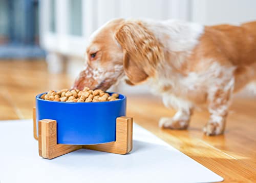 NAT & Jules Small Navy 6 inch Stoneware Ceramic and Wood Pet Bowl with Stand - color: Navy