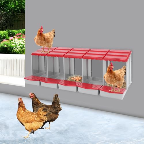 Chicken Nesting Boxes, 5 Compartment Nesting Boxes for Laying Eggs, Roll Away Nesting Box Egg Collection Tray, Wall Mount Poultry Roll Away Chicken Laying Boxes (Red) - color: 5 Compartment Nesting Boxes (Red)