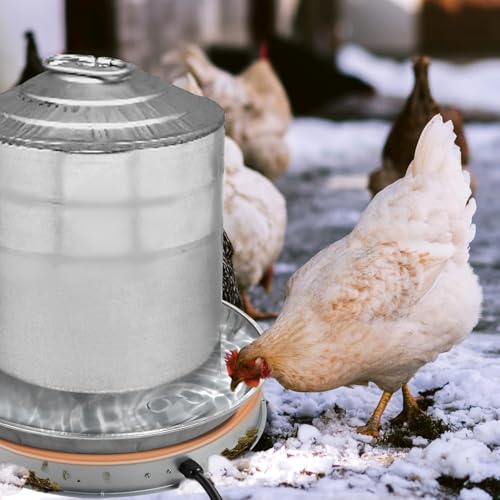 2 Pcs Poultry Chicken Water Heater: Chicken Water Heater Base for Winter, for Plastic/Metal Poultry Watere Under 6 Gallons, Heated Waterer for Chickens 125W - size: 15 inch (2-Pack)