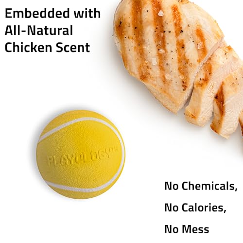 Playology Dog Toys | Squeaky Chew Ball for Large Dogs | Chicken Scented Jumbo Dog Ball | Bouncy Floating Chew Toys for Fetch - size: Jumbo, style: Chicken