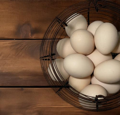 Egg Basket for Gathering Fresh Eggs, Retro Handle Egg Gathering Basket with Mat, Metal Egg Holder Countertop, Chicken Egg Basket for Farmhouse - color: Black