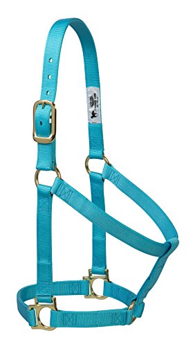 Weaver Leather Basic Non-Adjustable Nylon Horse Halter - color: Turquoise, size: 1" Small Horse