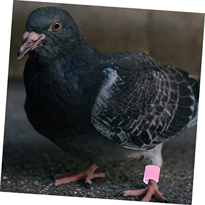 GANAZONO Pigeon Anklet Bird Leg Ring Identification Bands Plastic Chicken Leg Bands for Pigeons