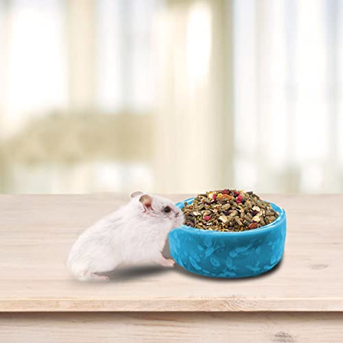 kathson 2 Pcs Hamster Food Bowl Guinea Pig Ceramic Water Bowl Small Animal Feeding Dish for Dwarf Hamster Gerbil Syrian Ferret Hedgehog Chinchilla Bunny (Blue)… - color: Blue
