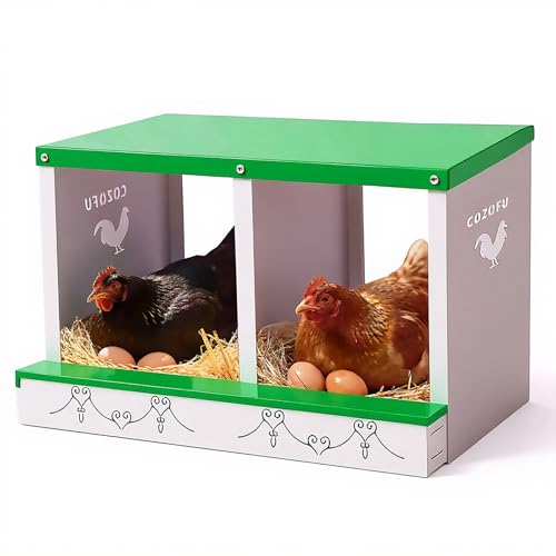 Chicken Nesting Boxes 2 Compartments Metal Egg Laying Boxes and Rollout Egg Collection & Hen on Nest Roll Away Nesting Box Chicken Coops Green - color: Green, size: 2 HOLE
