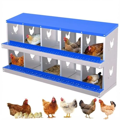 Chicken Nesting Box,10 Holes Galvanized Steel Metal Chicken Laying Box with Automatic Roll-Away Egg Collection System & Removable Tray,Wall Mount Nesting Boxes - color: Blue, size: 10 Holes