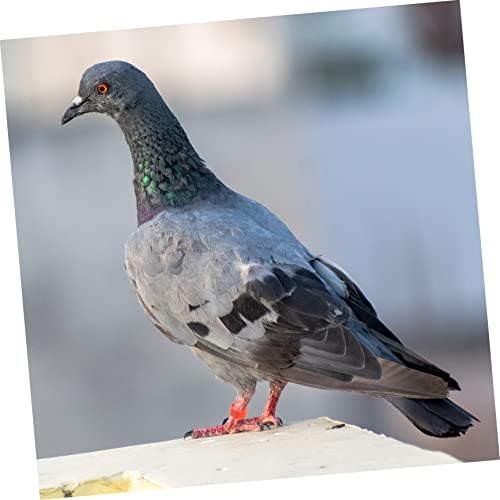 Mikikit 100pcs Pigeon Identification Leg Bands Plastic Foot Rings for Pigeons and Chickens Color-Coded Marking Rings for Easy Identification