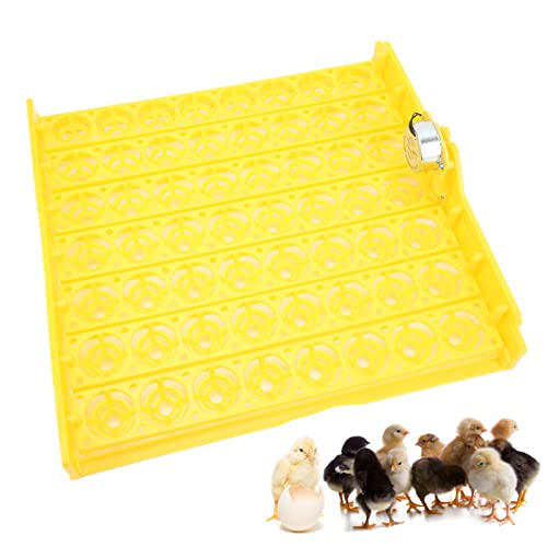 Zerodis Automatic Egg Turner, 110V Swing Around 45 Degrees to Turn The Egg Tray Egg Hatching Tray 56 Eggs Fully Automatic Incubator(Below 110V) - color: Below 110v
