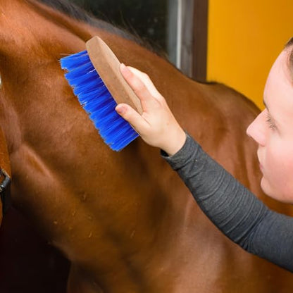 Gadpiparty Stiff Bristle Grooming Brush and Shedding Comb, 15.5 X 5.5 Inches, Blue, Livestock Cleaning Supply for Equine and Cattle Stable Care