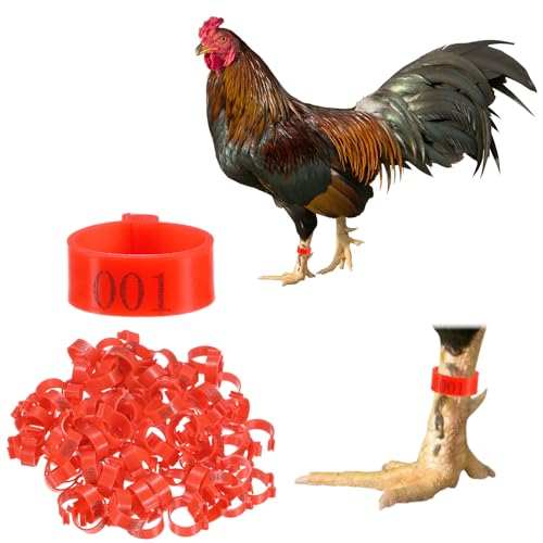 M METERXITY 100-Pack Chicken Leg Bands, 20 mm Plastic Poultry Identification Chicken Leg Rings for Turkey/Duck/Goose/Chicks, Colorful Numbered Foot Clip on Tags [Red] - color: Red, size: 2.7 x 2.7 x 1 cm / 1.06 x 1.06 x 0.4 in(L x W x H)