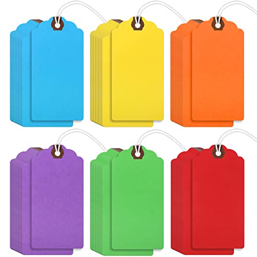 Outus 60 Pcs 4 3/4-in x 2 3/8-in Blank Large Paper Gift Tags with String and Reinforced Eyelet Wire Writable Price Tags Shipping Labels Inventory Labels(Rainbow Colors) - color: Rainbow Colors