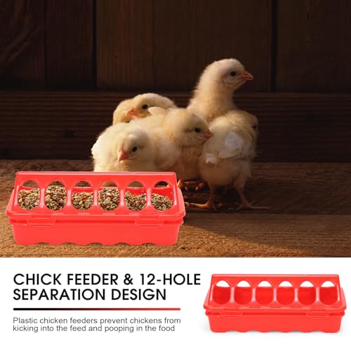 Chick Brooder Box Small Animal Playpen Chick Starter Kit Brooding Playpen with Chicks Heating Plate Perch Feeder Waterer for Duck and Quail Chicken Supplies