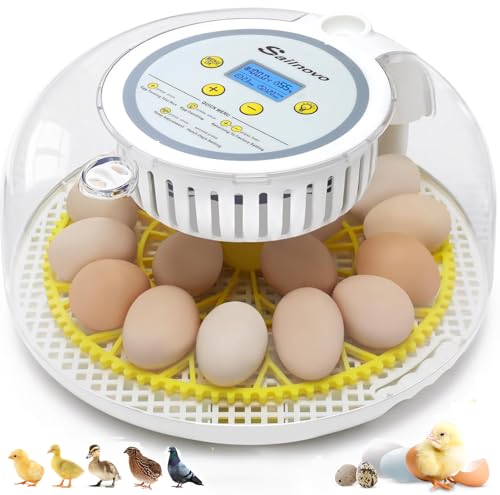 Sailnovo 18 Egg Incubator for Hatching Eggs with Automatic Egg Turning and Humidty Display, Temperature Control,360° Clear View, Egg Incubator for Hatching Chickens,Ideal for Farm,School and Lab - color: Grey-Yellow, size: Hatch 18