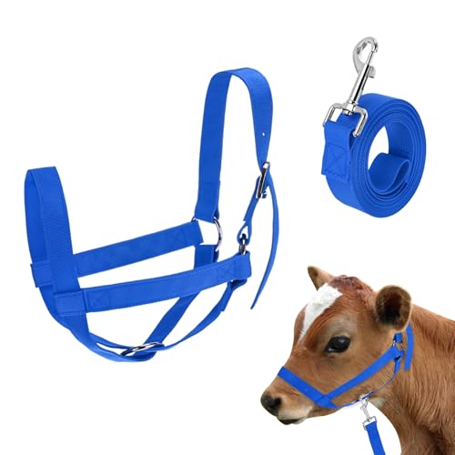 M METERXITY 1-Pack Adjustable Cattle Cow Calf Halter, 12.6"-18.9" Nylon Livestock Cow Halter with Leading Rope for Miniature Horse/Donkey/Goat/Cattle [Blue] - color: Blue, size: 12.6"-18.9"