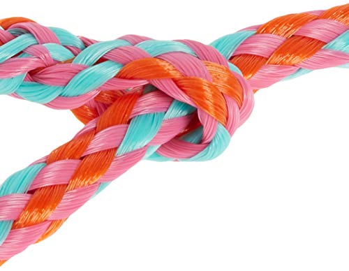 Weaver Livestock Barn Brush and Weaver Leather Livestock Poly Rope Sheep Halter