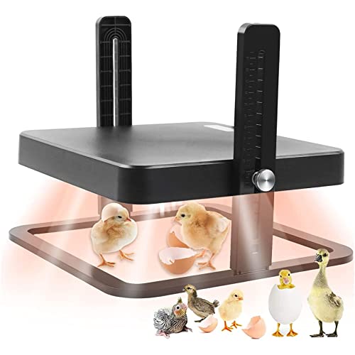 Chick Brooder, Height and Angle Adjustable, Pet/Poultry Heating Plate, Can Hold 15 Chicks, Suitable for Hatching Ducks, Chicks and Birds